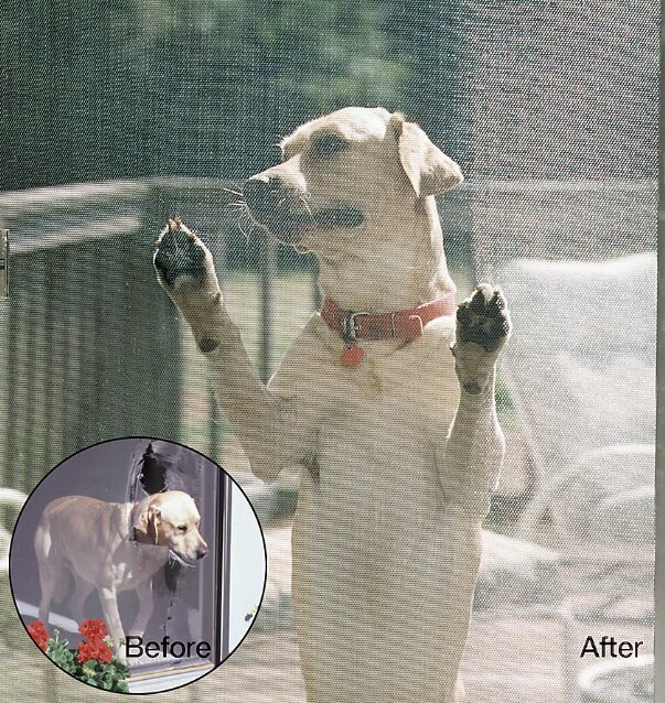 fiberglass pet screen